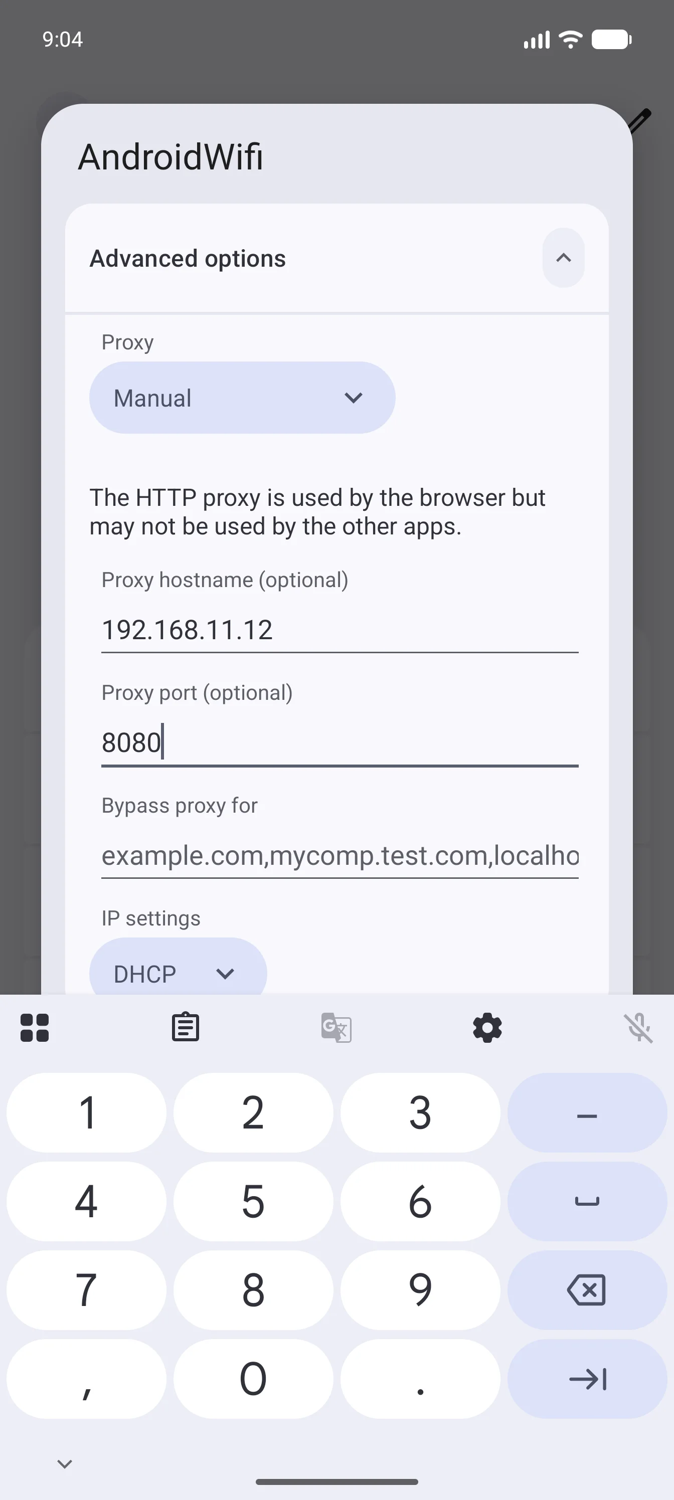 Set the proxy to Manual and enter the host name and port