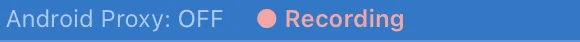 Status bar indicator shown while recording